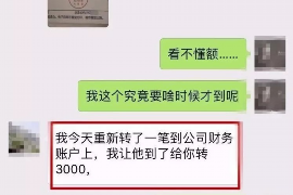 冠县为什么选择专业追讨公司来处理您的债务纠纷？